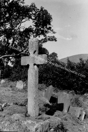 KILBRONEY CROSSES : THE TALL CROSS